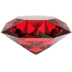 Meet your Posher, Robyn